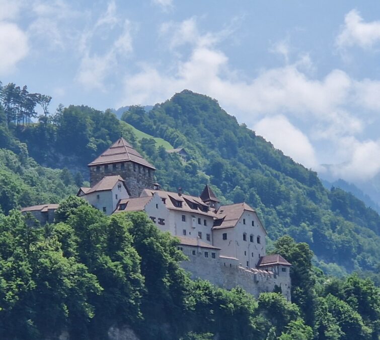 Blick auf das herrlich gelegene Schloss Vaduz