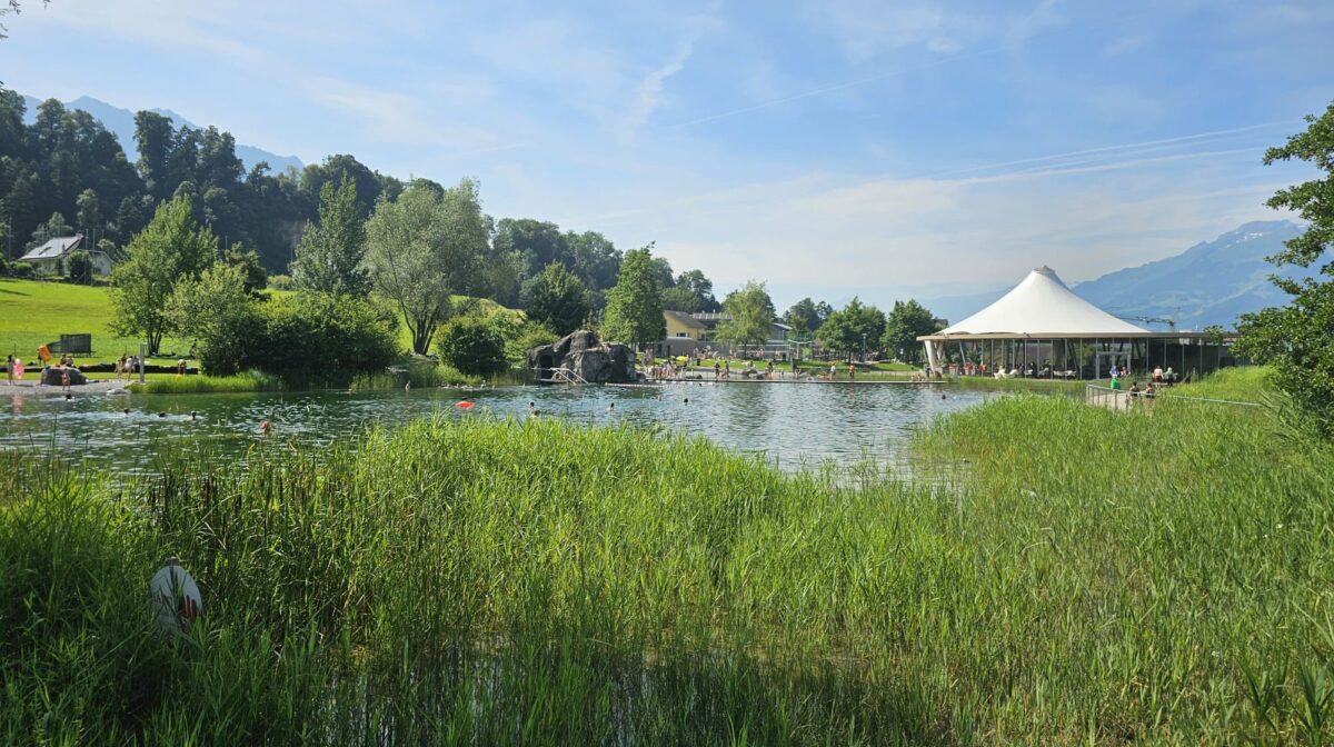 Das in die Landschaft perfekt eingebettete Natur-Freibad mit Pavillon